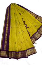 Green saree with purple border and gold embroidery on a white background